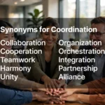 synonyms for coordination