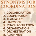 synonyms for coordination